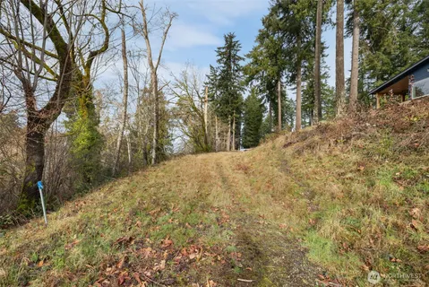 a view of a yard with trees
