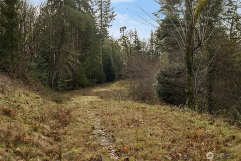 a view of backyard with green space