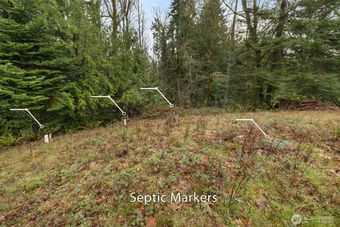 a view of a field with plants and trees