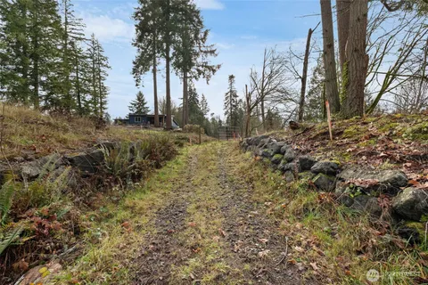 a view of backyard of green space