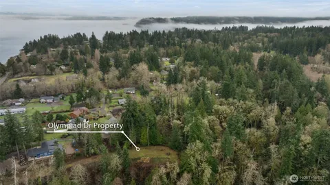 a view of a forest with a street