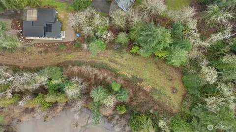 a view of a yard with plants and large trees