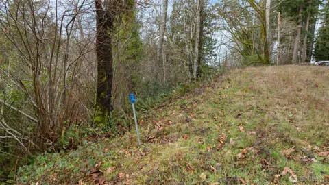 a view of a yard with trees