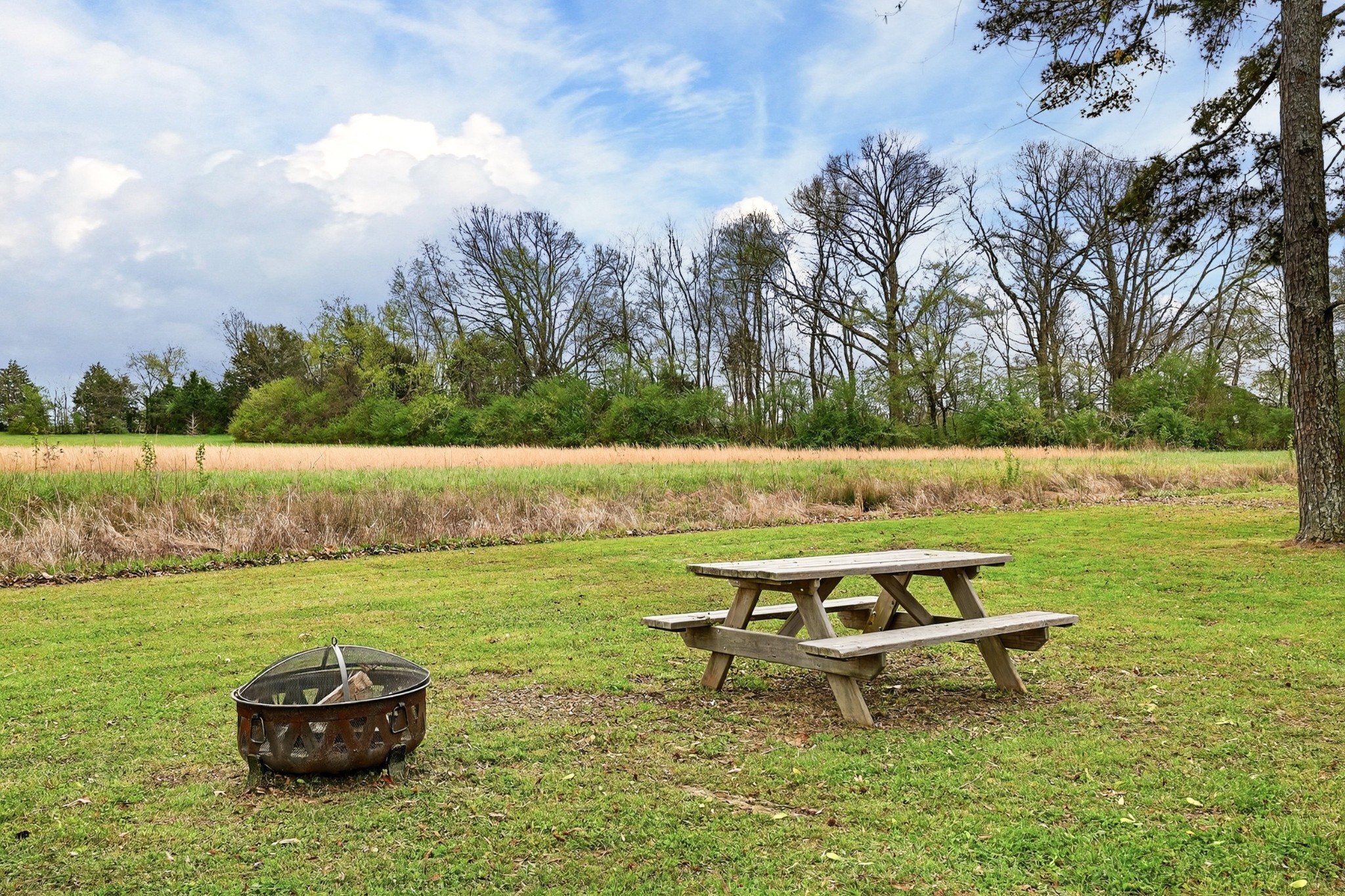 61 Minnie Brown Road Ardmore, TN 38449 - Photo 10 of 31