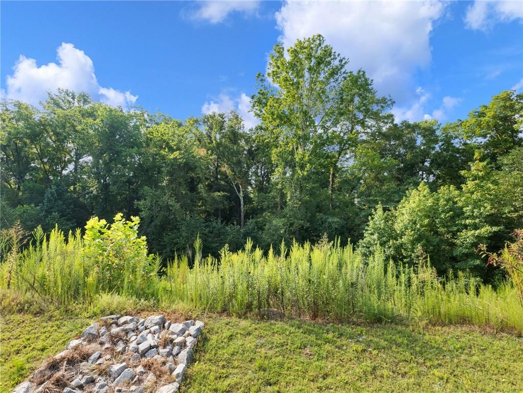 5876 Hackberry Lane Braselton, GA 30517 - Photo 45 of 56