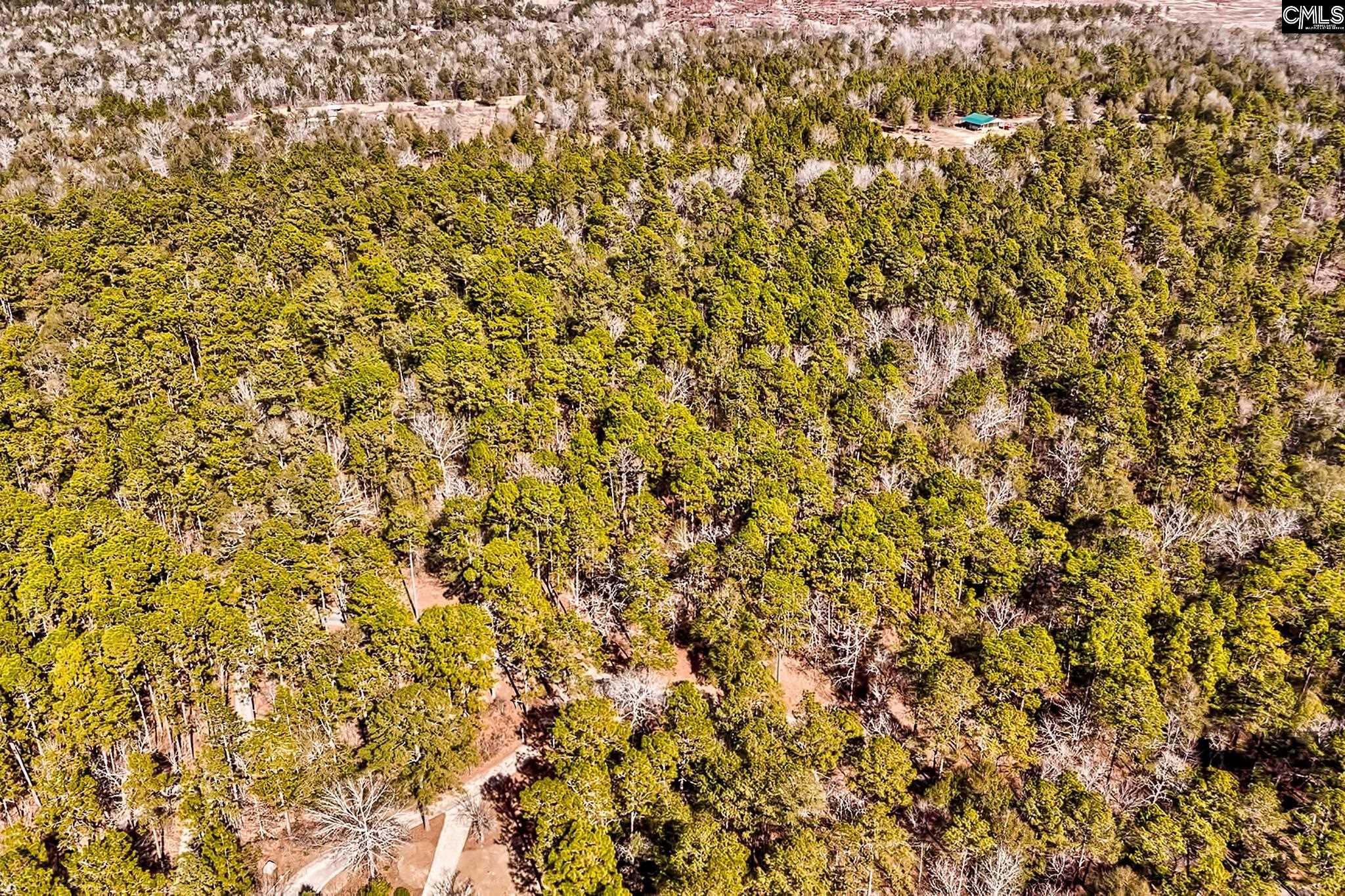 0 Edisto Lake Road Wagener, SC 29164 - Photo 3 of 6