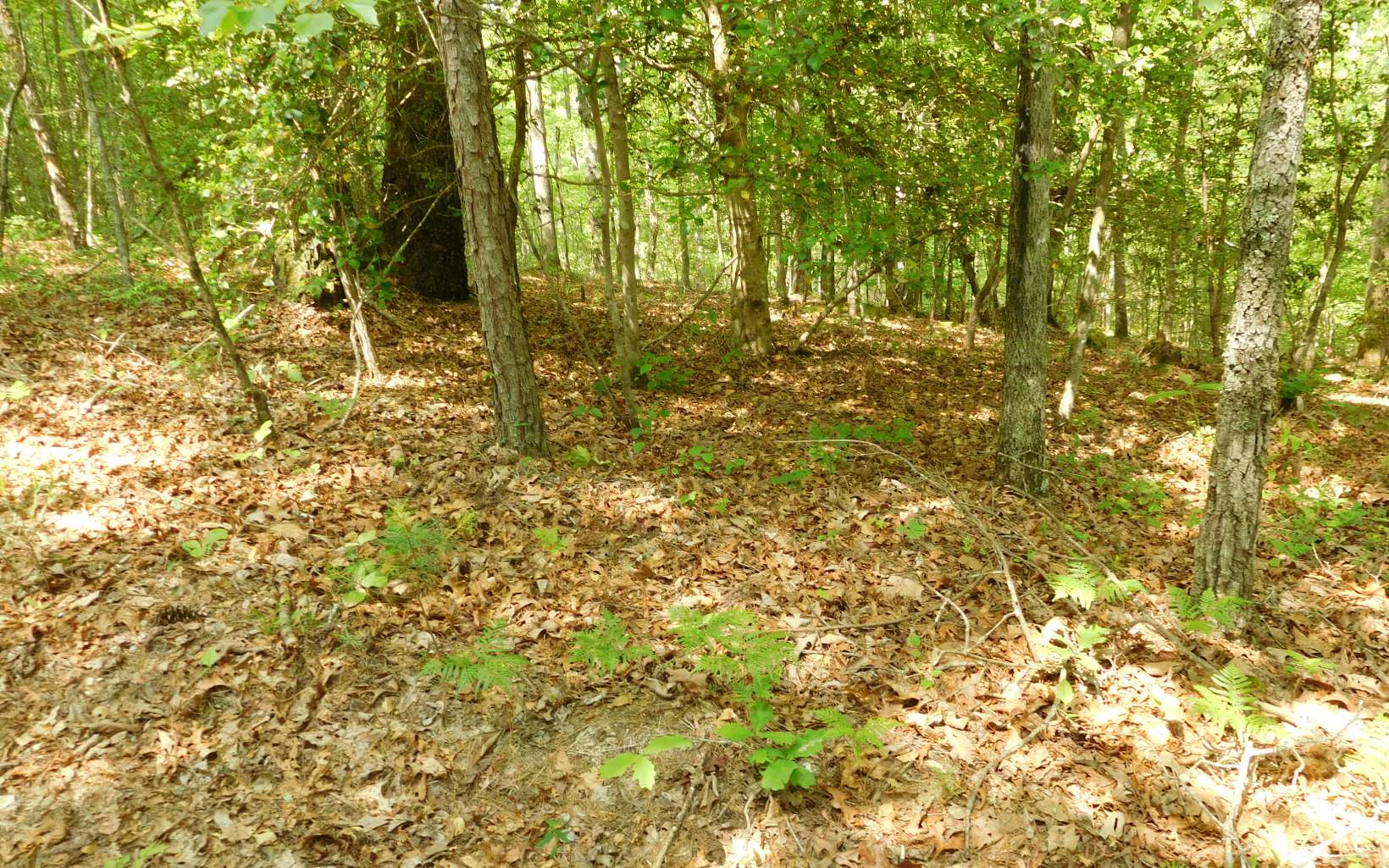 27-28 Two Cedars Road Morganton, GA 30560 - Photo 3 of 4 Additional View