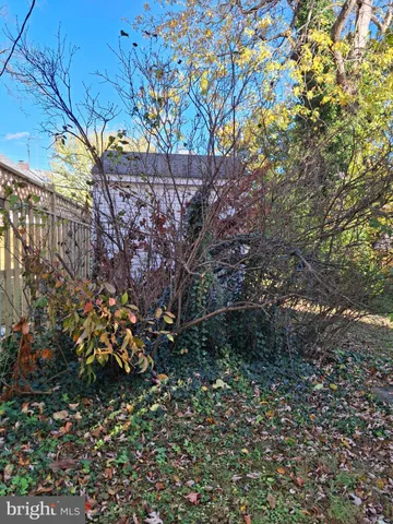 a view of a tree with a tree