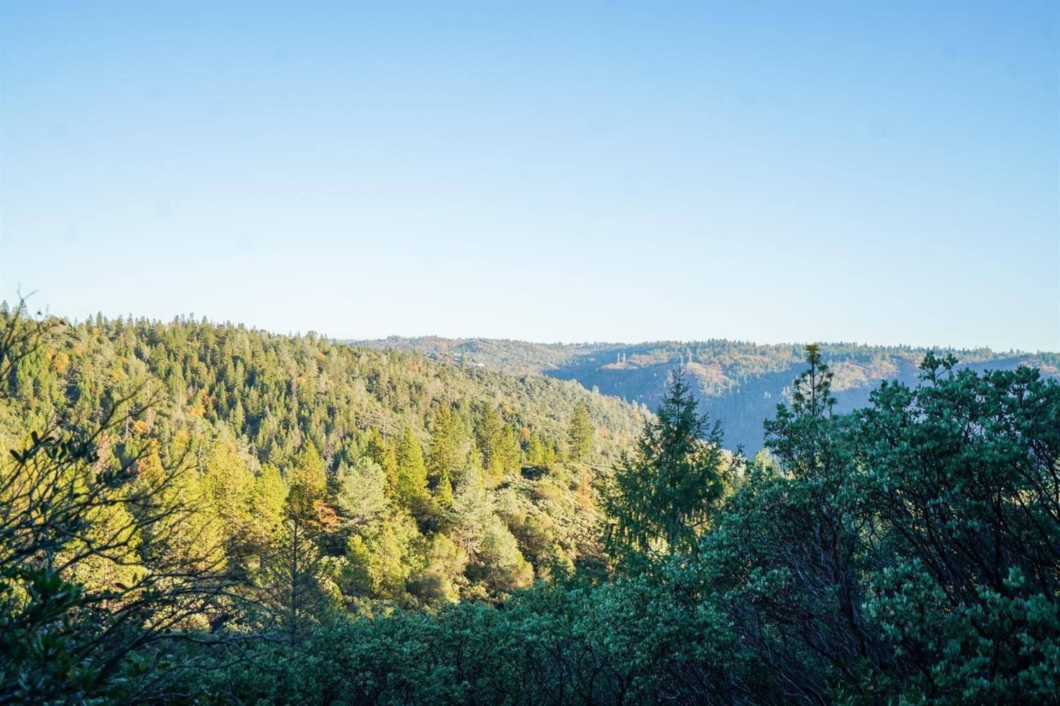 9220 Mule Skinner Road Placerville, CA 95667 - Photo 9 of 15 Gallery Image 9