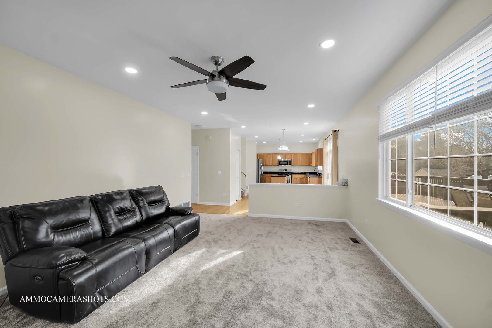 3107 Whitney Road Aurora, IL 60502 - Photo 15 of 44