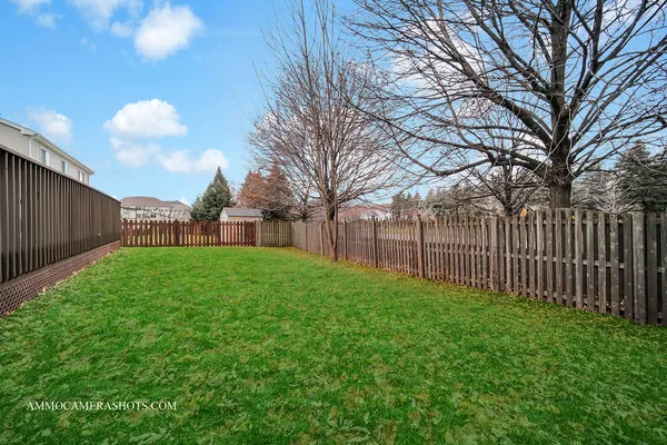 a view of a yard with a large trees