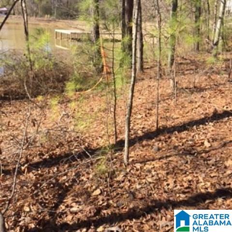338 Davis Acres Drive, Unit 1 Alpine, AL 35014 - Photo 8 of 19