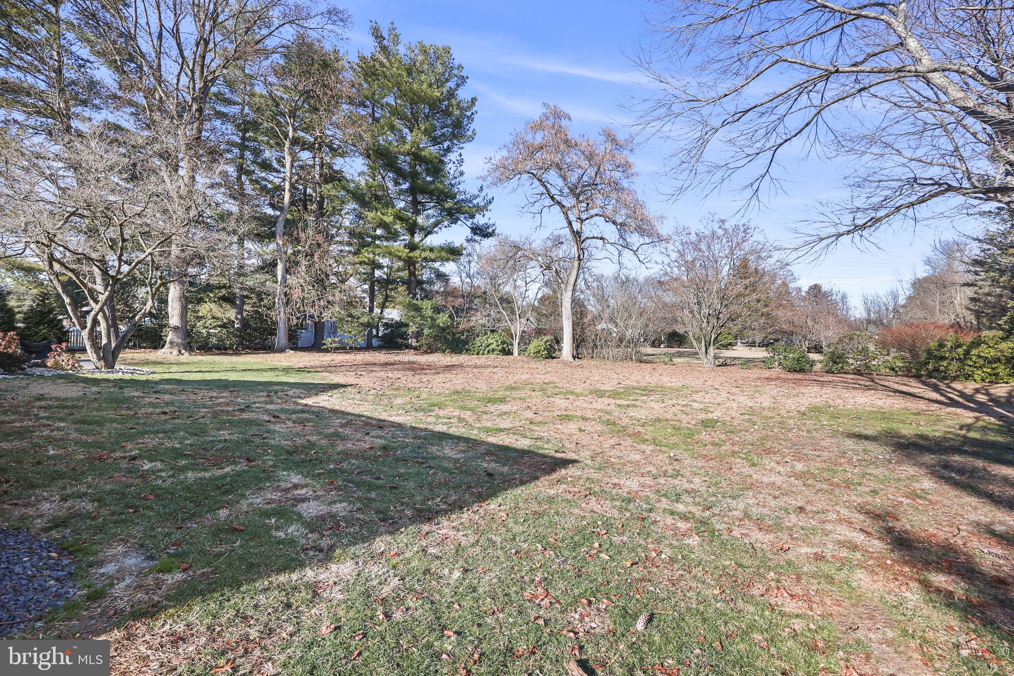568 Village Road East Princeton Junction, NJ 08550 - Photo 40 of 43 a view of outdoor space with trees