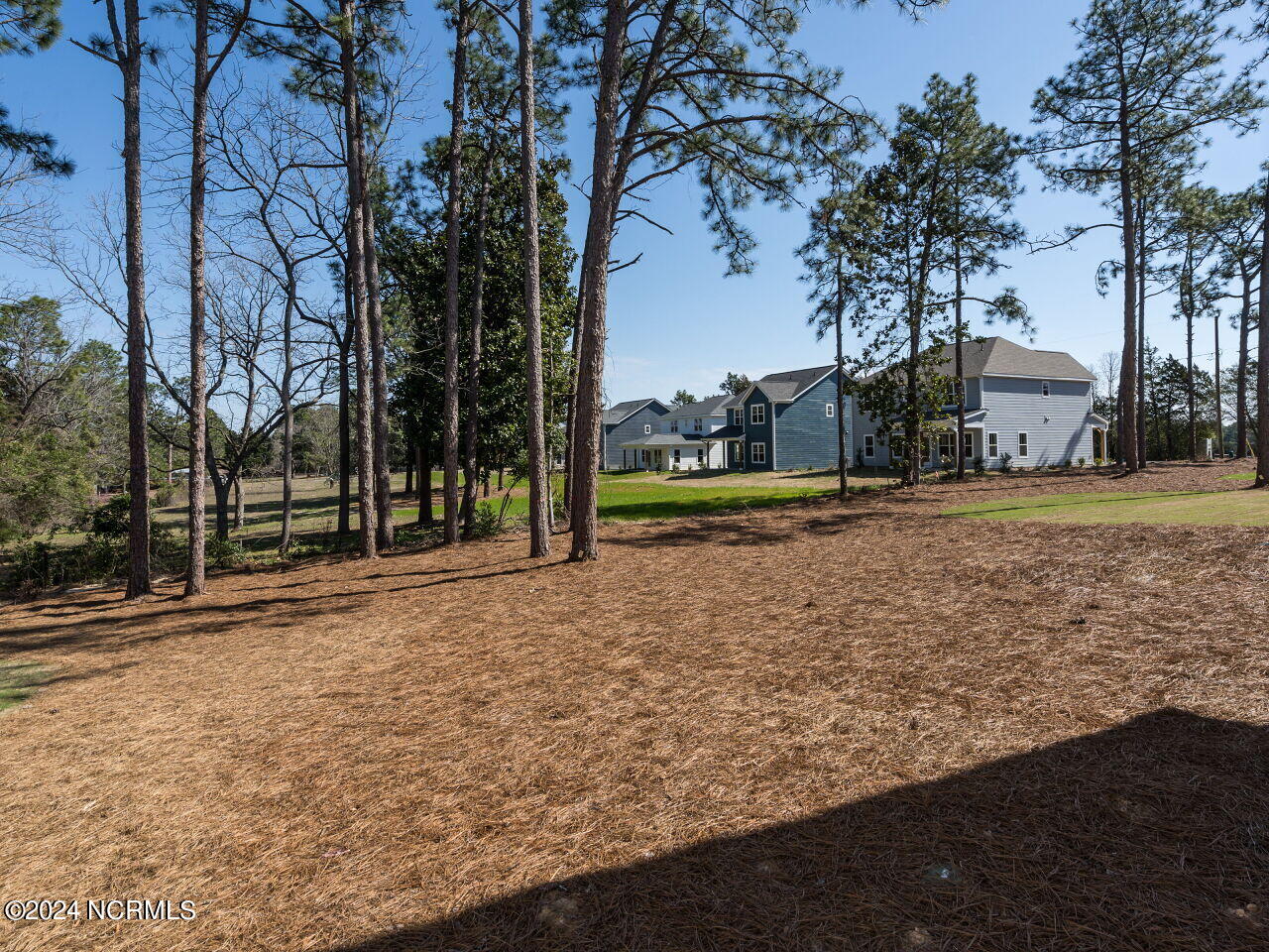 331 Braden Road Southern Pines, NC 28387 - Photo 25 of 29 027-1280x960-large-backyard