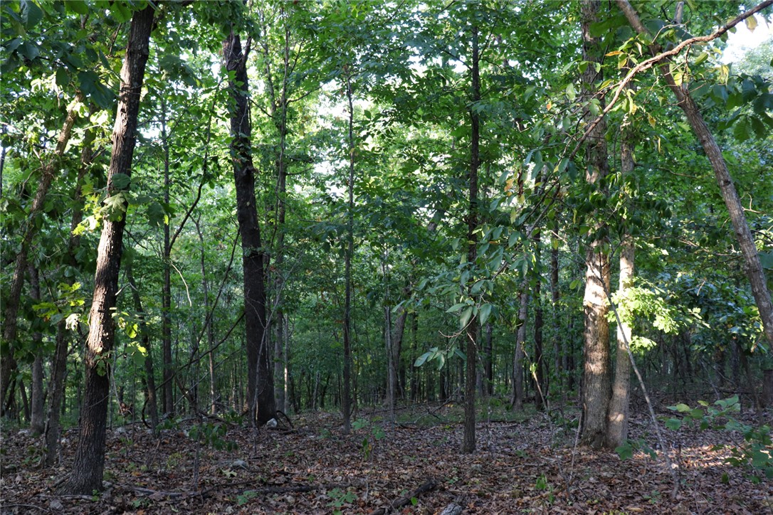922 Baker Cemetery Road Williford, AR 72482 - Photo 19 of 50 Gallery Image 19