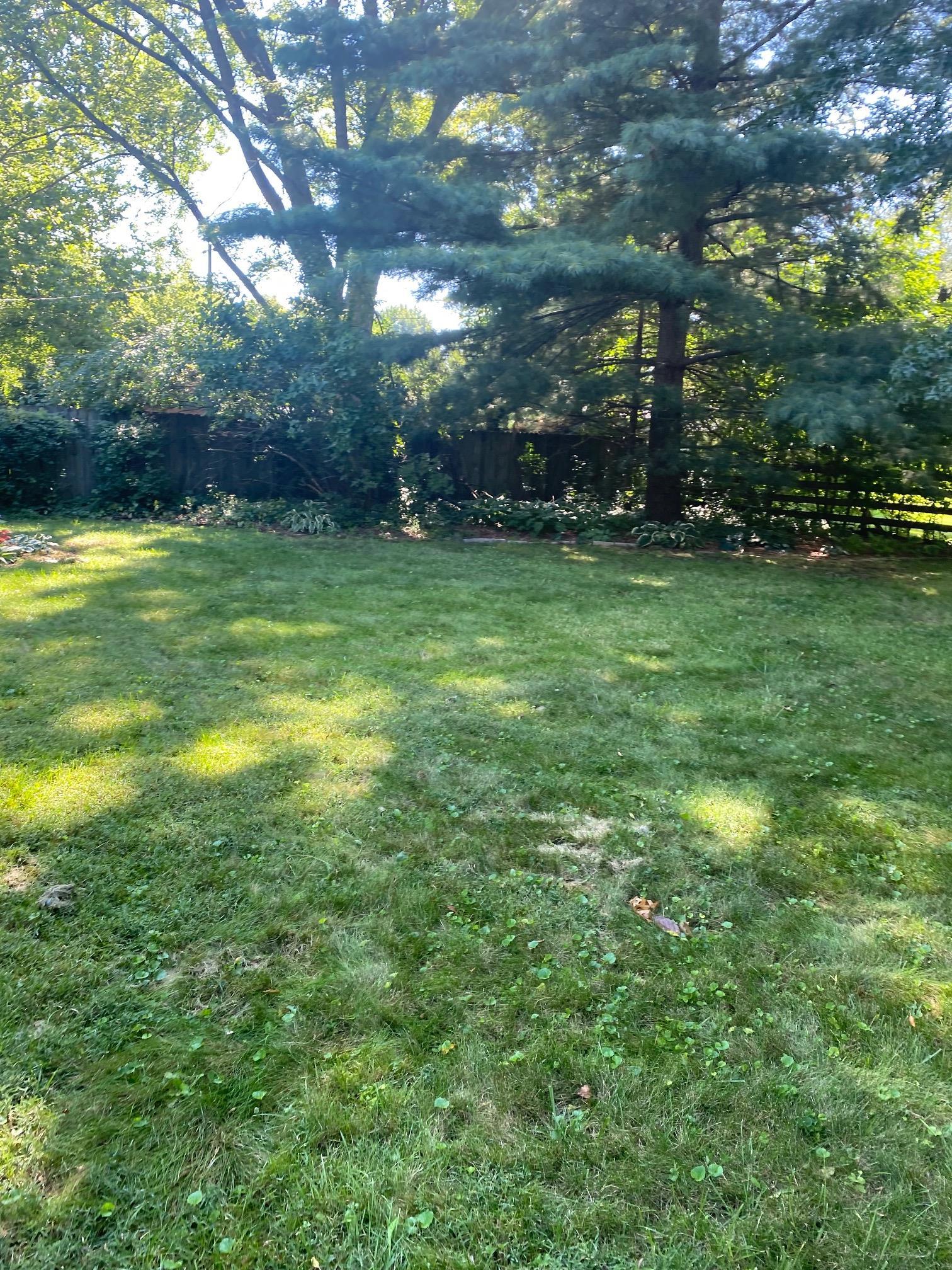 4619 Highcrest Road Rockford, IL 61107 - Photo 8 of 9 a view of yard with green space