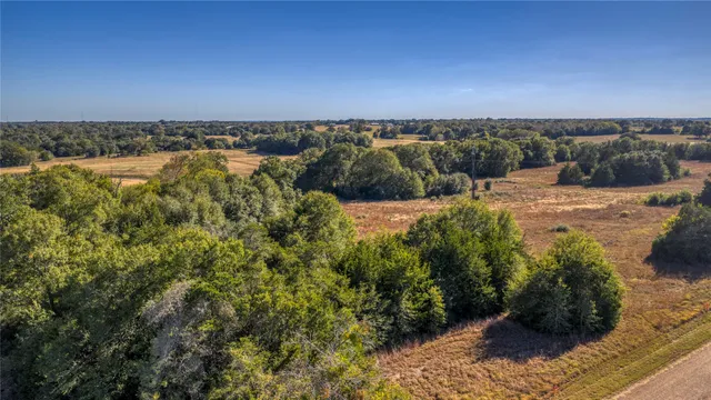 a view of a pathway with a yard