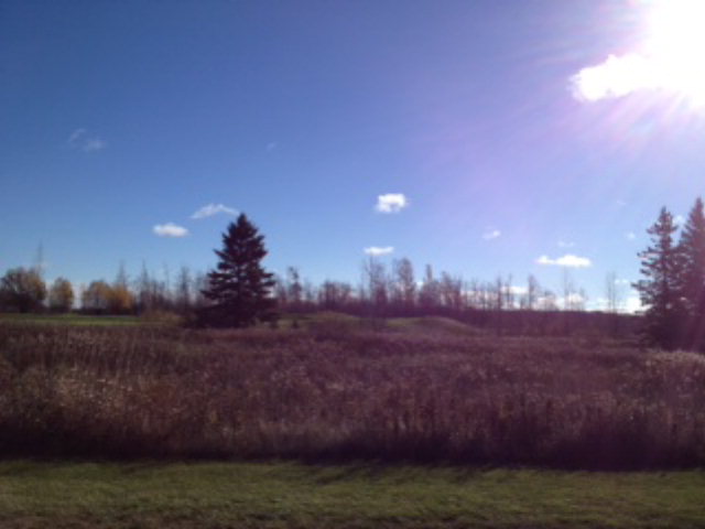 900 Cobblestone Road Egg Harbor, WI 54209 - Photo 10 of 11