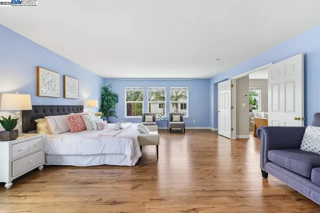 a bedroom with a large bed a potted plant and a wooden floor