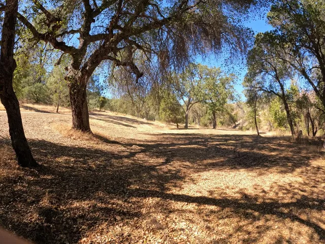 a view of dirt yard with a tree