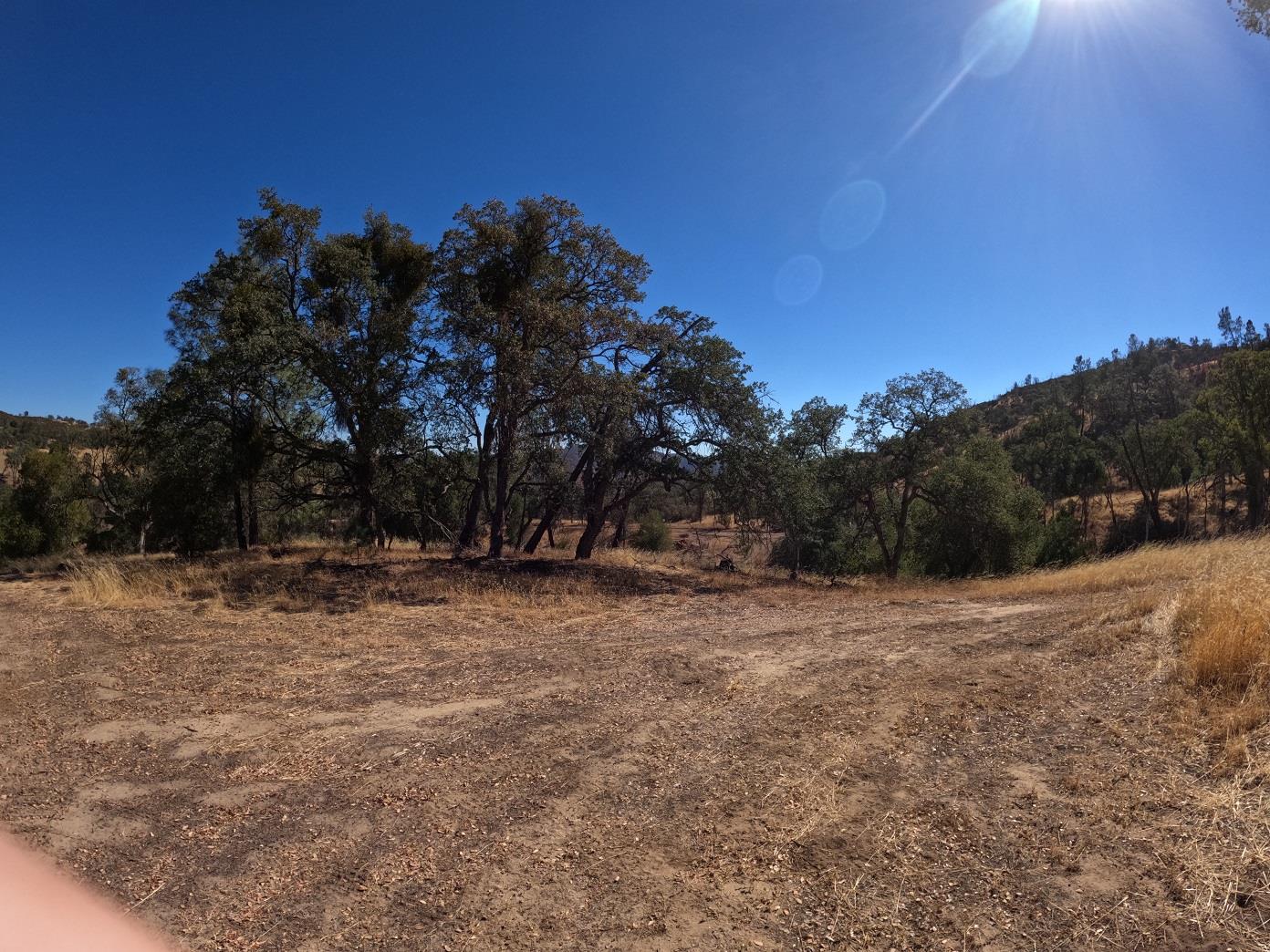 38457 Av Ranch Road King City, CA 93928 - Photo 4 of 6 a view of dirt yard with a tree
