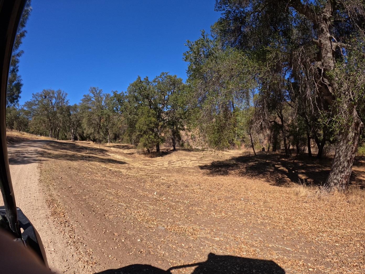 38457 Av Ranch Road King City, CA 93928 - Photo 5 of 6 a view of outdoor space with trees
