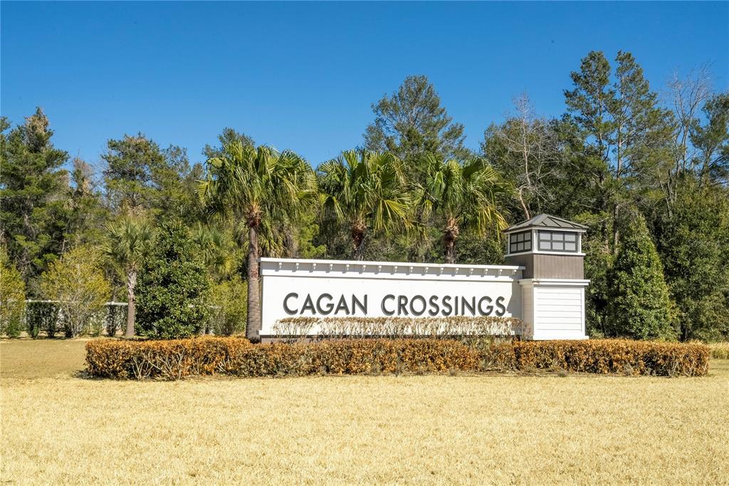 874 Rivers Crossing Street Clermont, FL 34714 - Photo 66 of 67