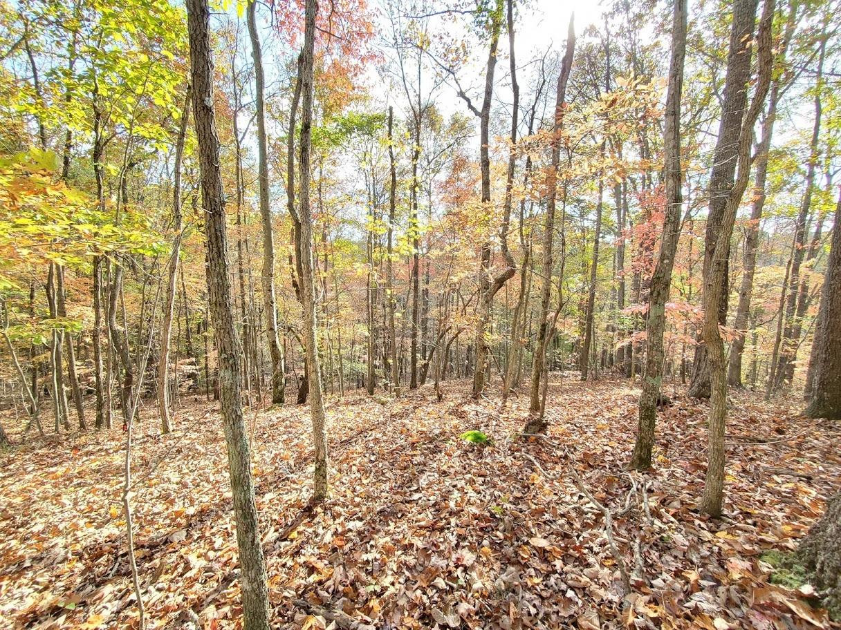 1706 Sturgeon Road Tyner, KY 40486 - Photo 10 of 35 Photo 10