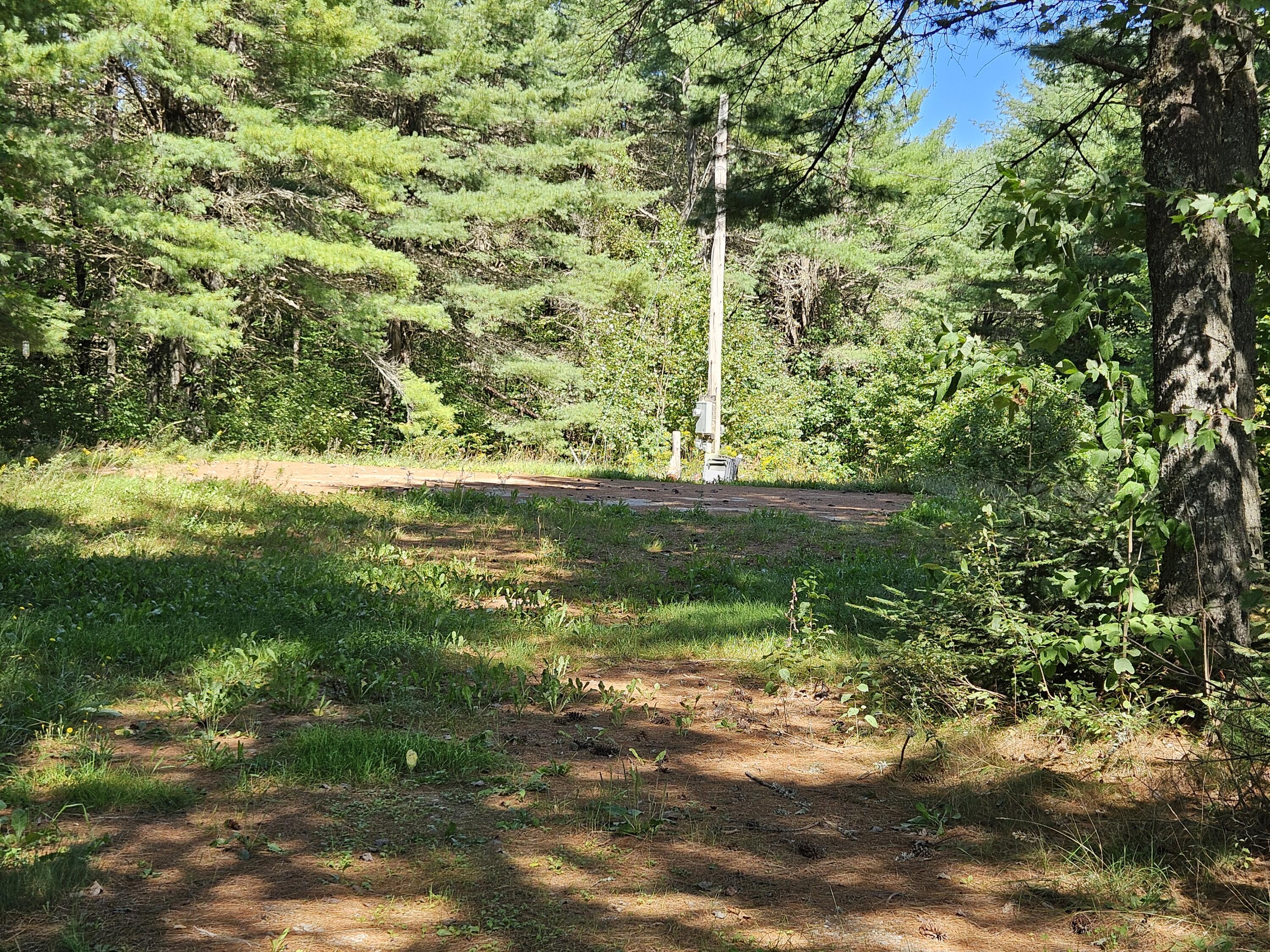 336 Medford Road Lagrange, ME 04453 - Photo 7 of 8