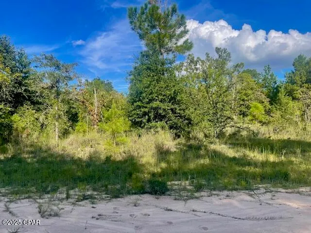 $12,500 | A Nezperce Drive, Alford, FL 32420