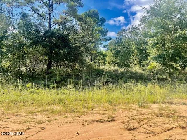 $12,500 | A Nezperce Drive, Alford, FL 32420