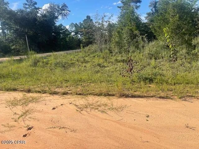 $12,500 | A Nezperce Drive, Alford, FL 32420