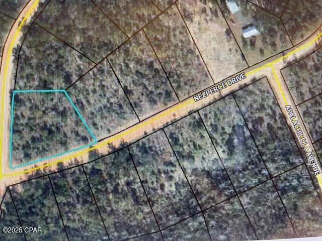 $12,500 | A Nezperce Drive, Alford, FL 32420