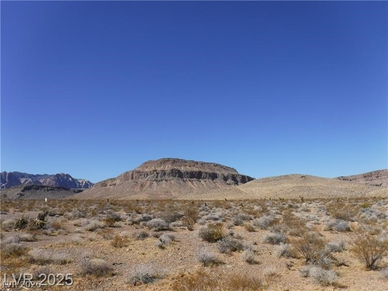 160 Blue Diamond Blue Diamond, NV 89004 - Photo 1 of 2