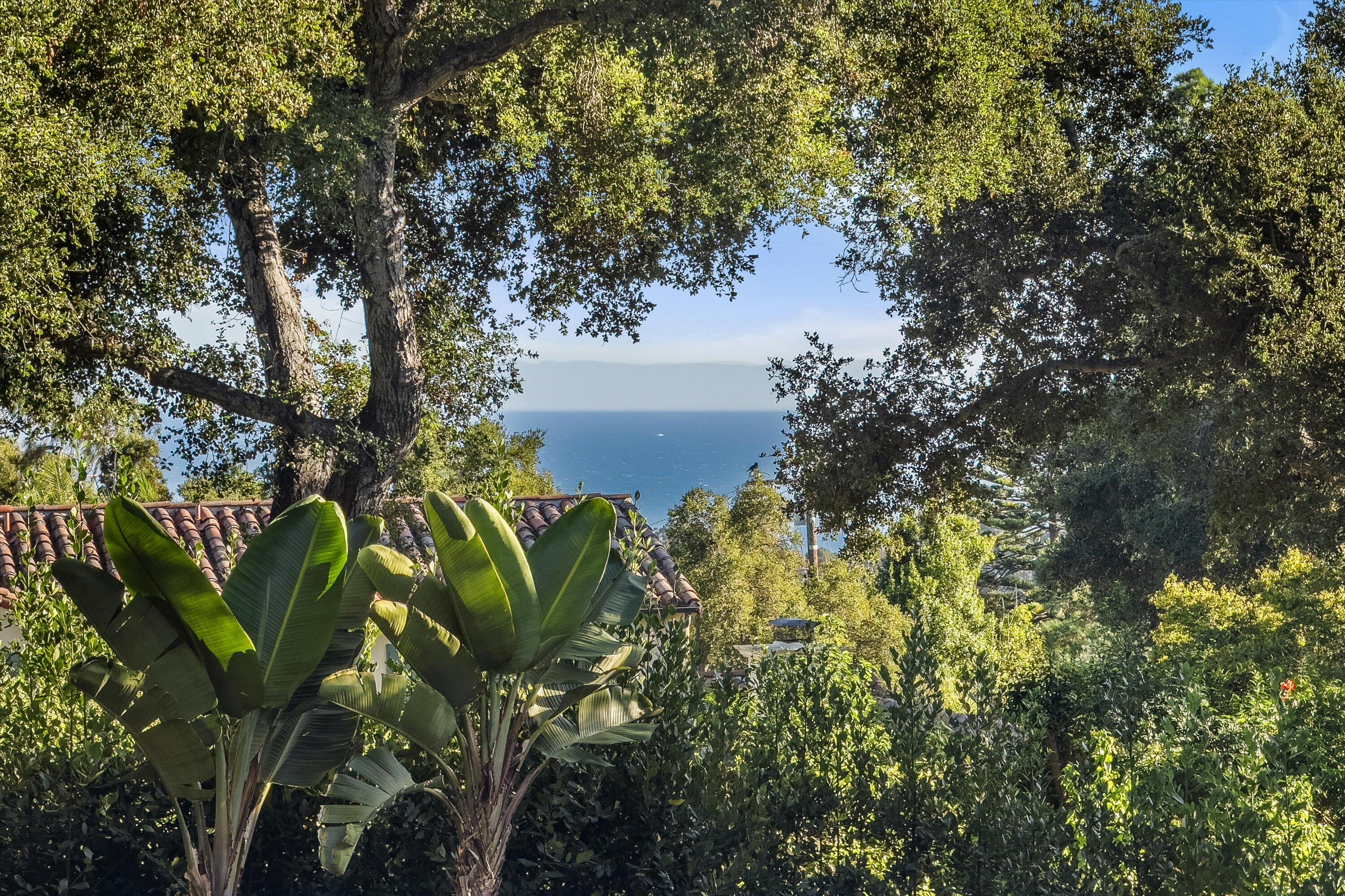 840 Riven Rock Road Montecito, CA 93108 - Photo 24 of 52 a view of a plant in a garden