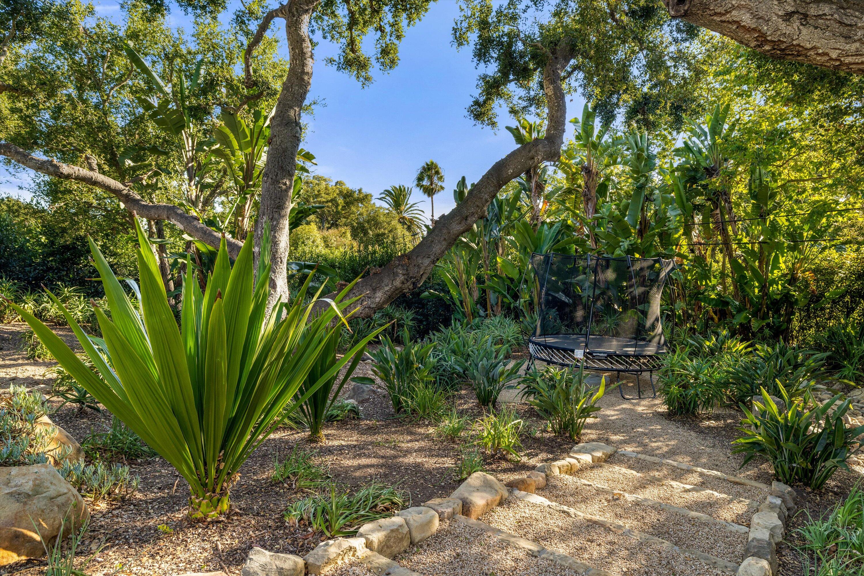 840 Riven Rock Road Montecito, CA 93108 - Photo 36 of 52 a view of a garden with plants