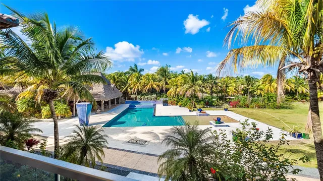a view of a yard with plants and a large tree