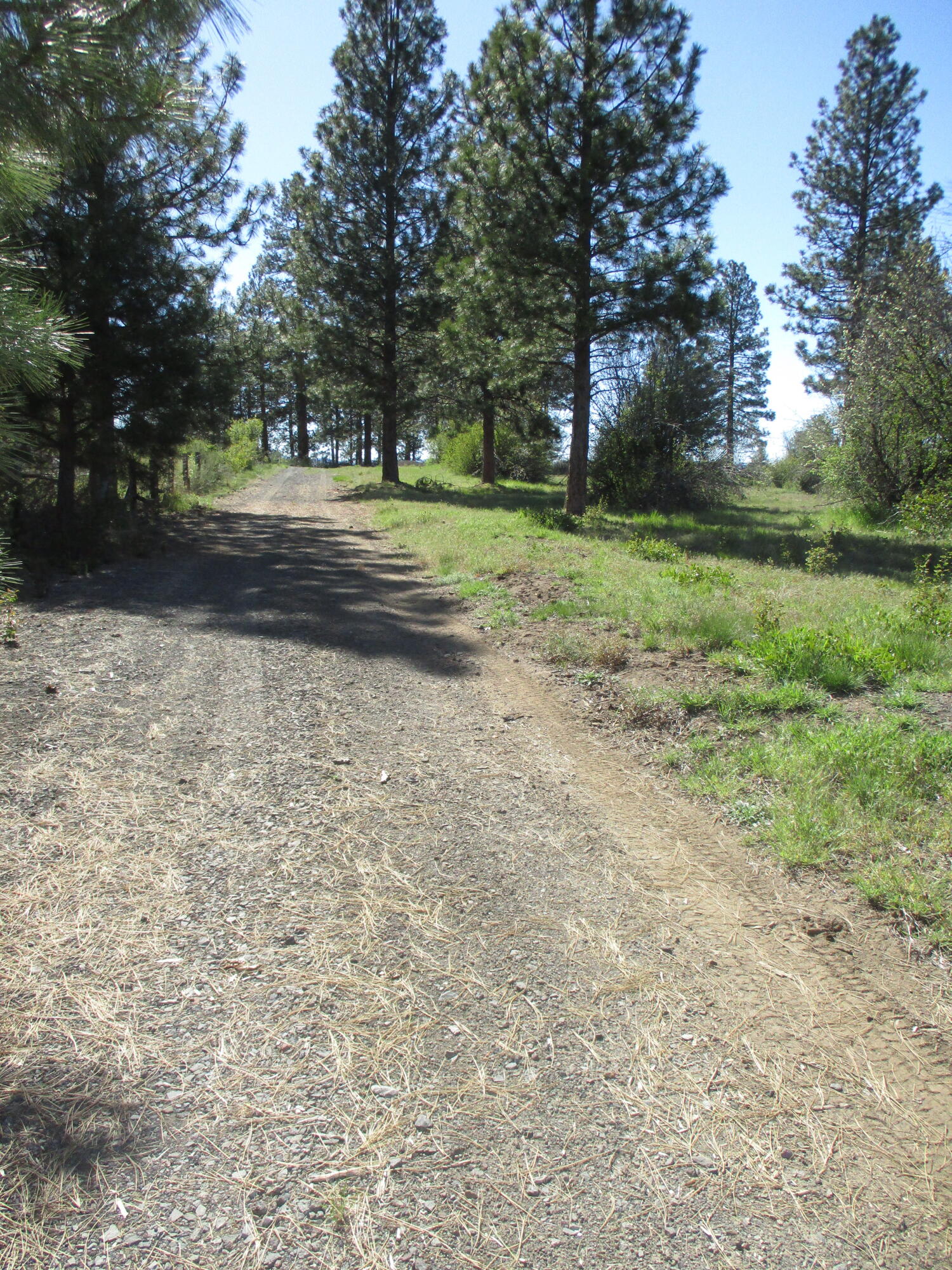 36141 David Street Chiloquin, OR 97624 - Photo 41 of 43 IMG_0969
