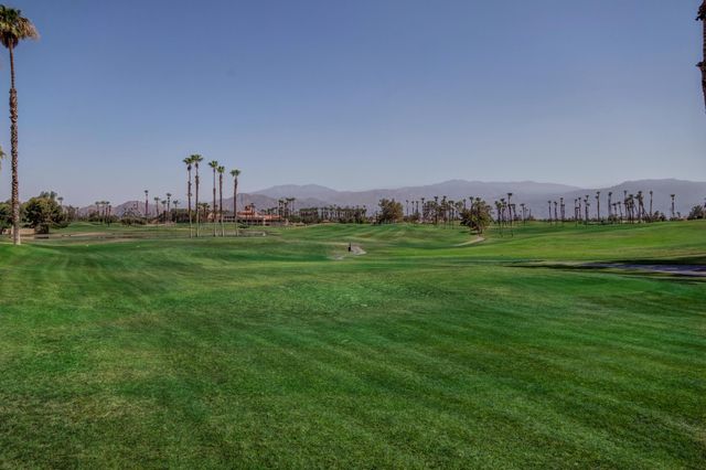 a view of a grassy field with trees