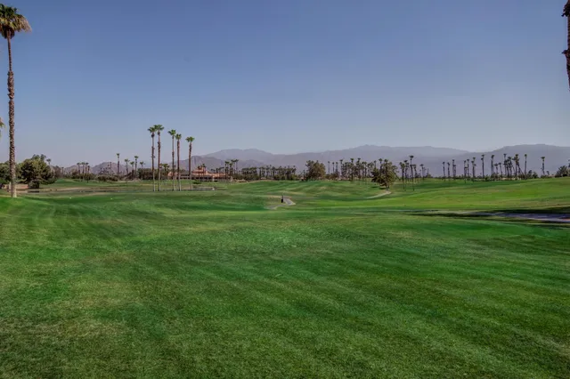 a view of a grassy field with trees