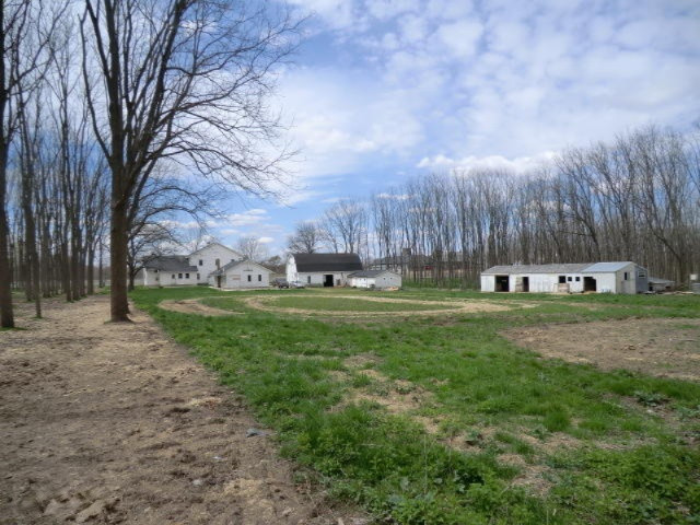 653 Boone Road Quincy, MI 49082 - Photo 11 of 66 CIMG3262