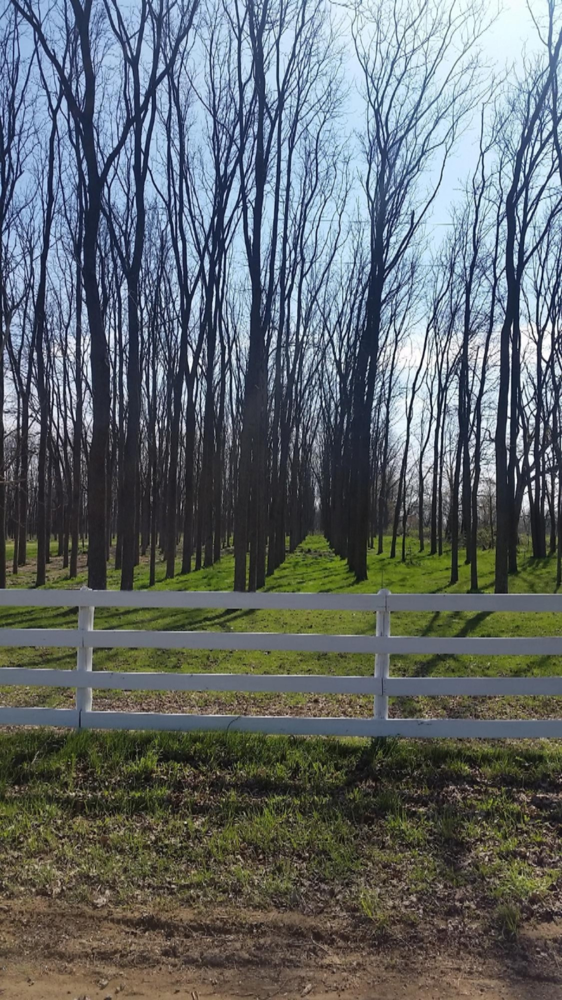 653 Boone Road Quincy, MI 49082 - Photo 13 of 66 20150430_102255