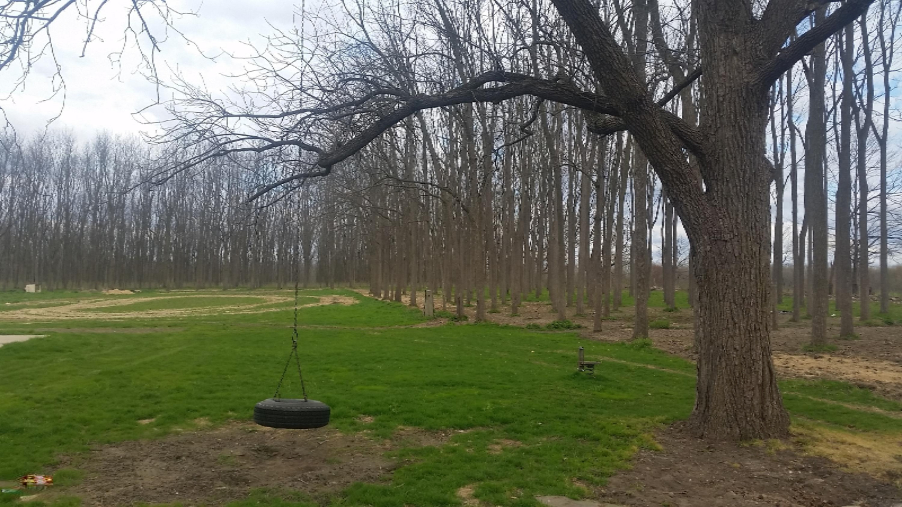 653 Boone Road Quincy, MI 49082 - Photo 14 of 66 20150429_170153