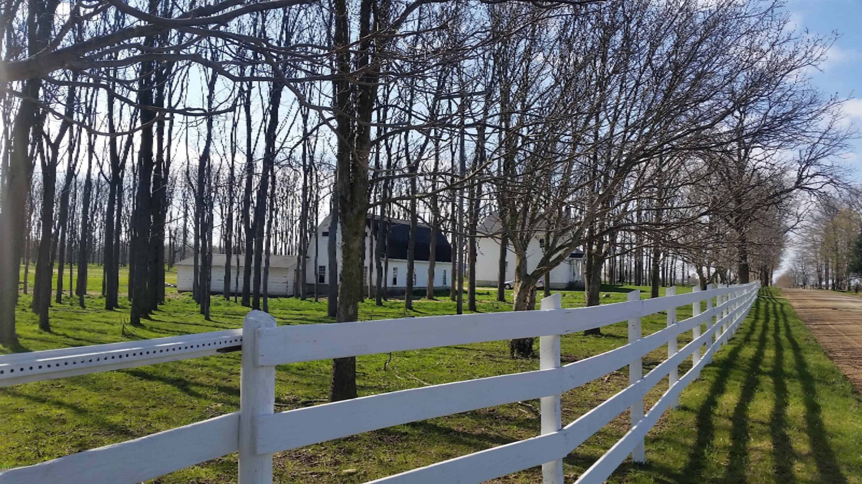 653 Boone Road Quincy, MI 49082 - Photo 2 of 66 20150430_102104