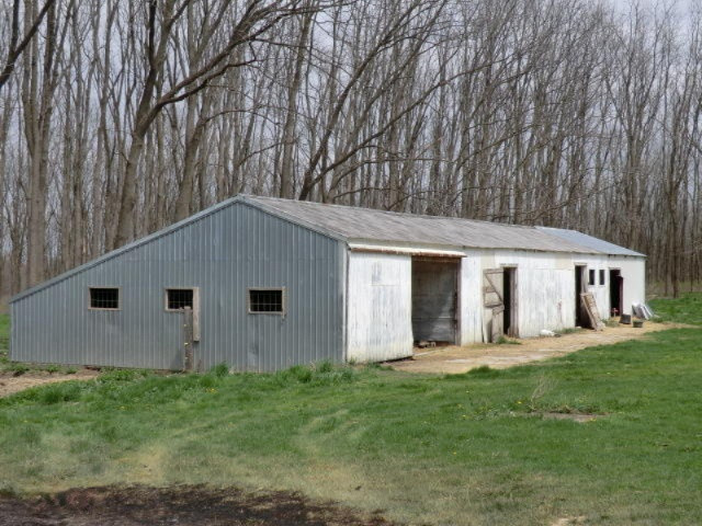 653 Boone Road Quincy, MI 49082 - Photo 10 of 66 CIMG3258