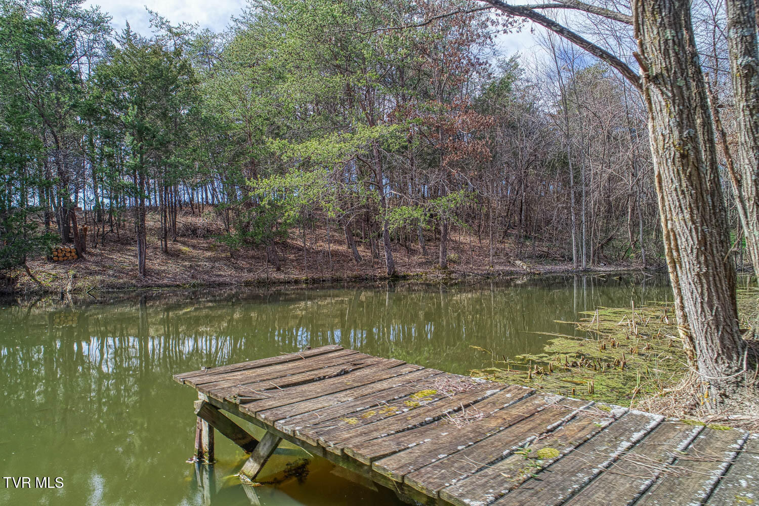 143 Pleasant View Road Bulls Gap, TN 37711 - Photo 53 of 68 149 Pleasant View. POND MLSa (7 of 9)