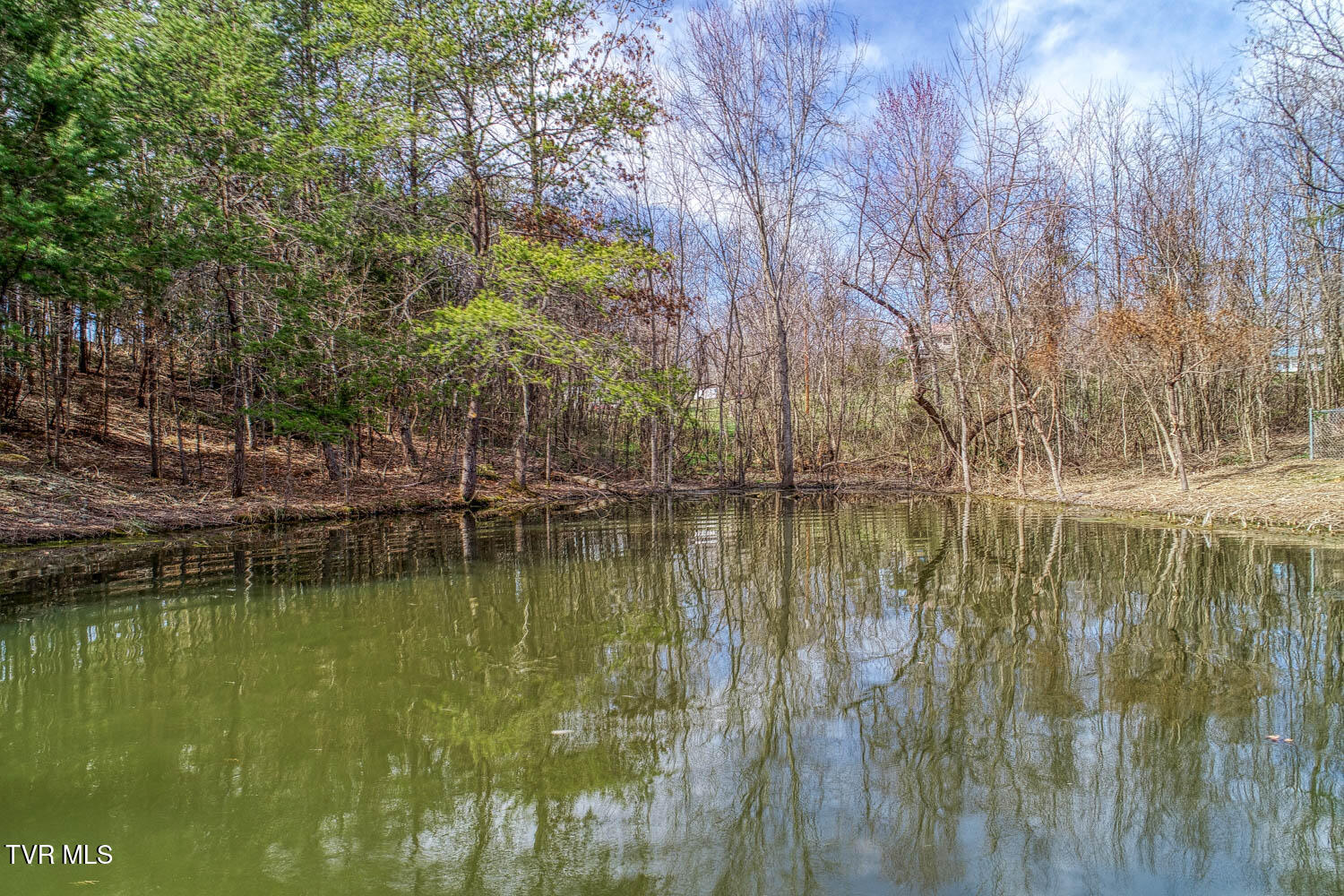 143 Pleasant View Road Bulls Gap, TN 37711 - Photo 54 of 68 149 Pleasant View. POND MLSa (5 of 9)