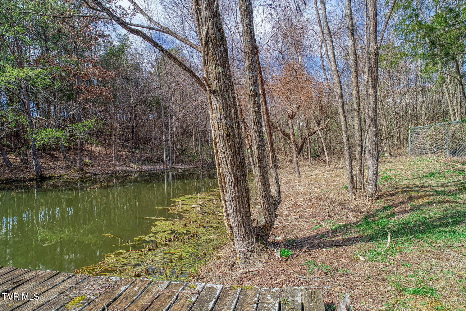 143 Pleasant View Road Bulls Gap, TN 37711 - Photo 57 of 68 149 Pleasant View. POND MLSa (8 of 9)