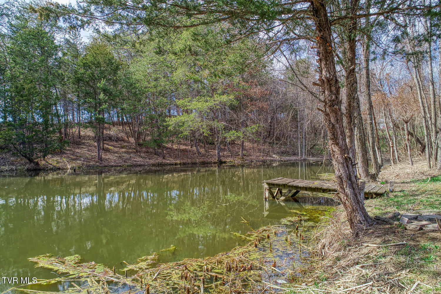 143 Pleasant View Road Bulls Gap, TN 37711 - Photo 60 of 68 149 Pleasant View. POND MLSa (6 of 9)