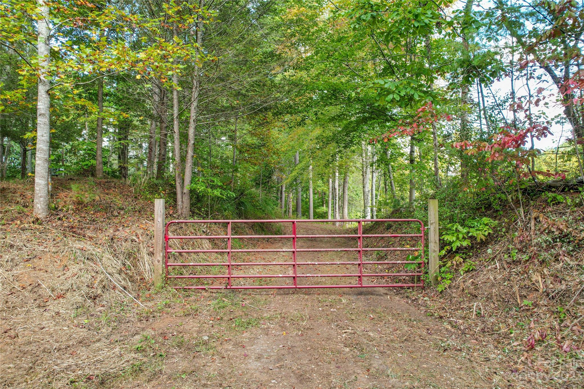 15 Plum Road, Unit B Weaverville, NC 28787 - Photo 1 of 30 Gallery Image 1